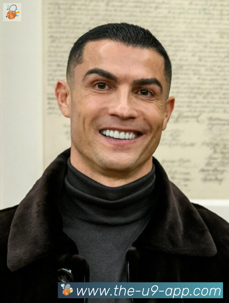 维尼修斯